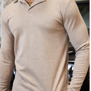 Pulls à col v